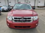2011 Ford Escape Xlt for Sale in Louisville, KY - Top/Roof