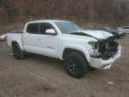 2023 Toyota Tacoma Double Cab იყიდება Marlboro-ში, NY - Front End