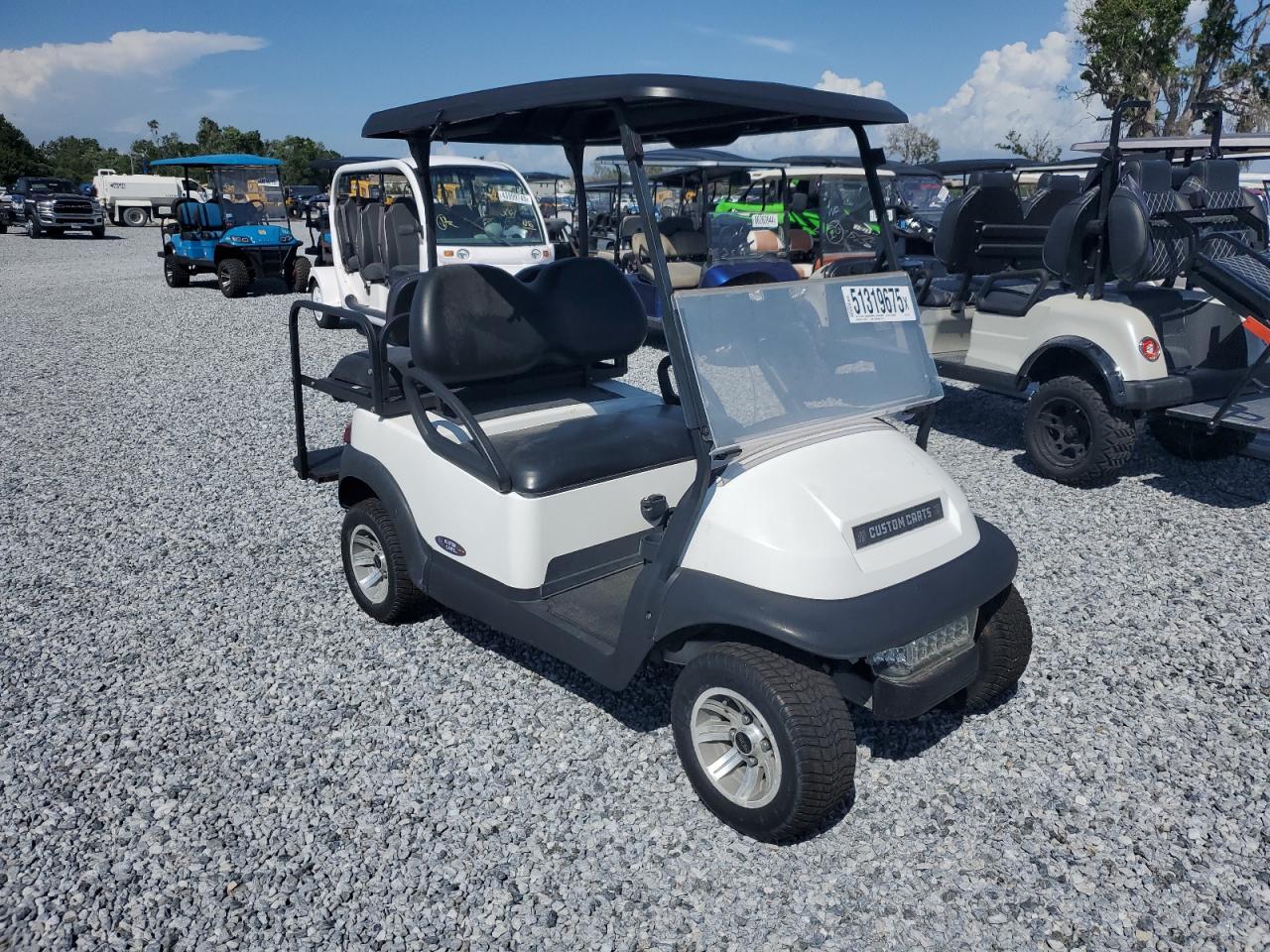 2020 Golf Cart Clubs იყიდება Riverview-ში, FL - Water/Flood
