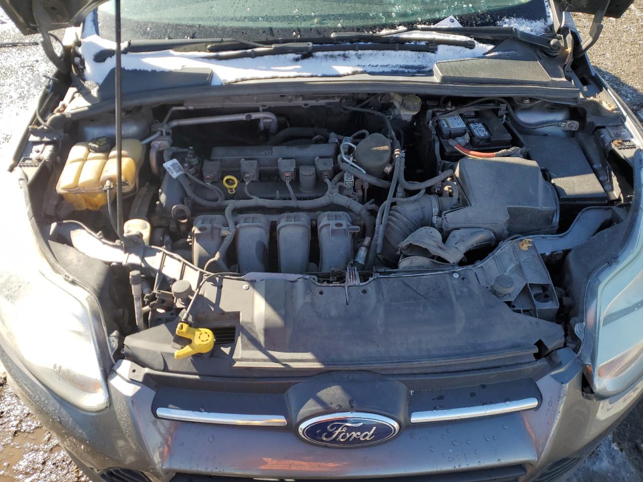 2014 Ford Focus Se VIN: 1FADP3F24EL407225 Lot: 46502685