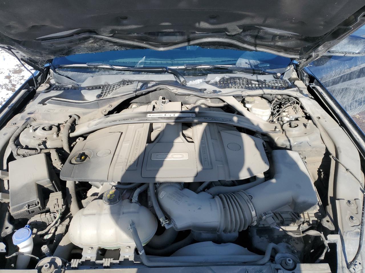 2021 Ford Mustang Gt VIN: 1FA6P8CF8M5104139 Lot: 48700915