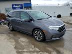 2021 Honda Odyssey Exl for Sale in Louisville, KY - Hail
