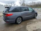2021 Honda Odyssey Exl for Sale in Louisville, KY - Hail