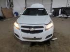 2013 Chevrolet Malibu 1Lt იყიდება Lexington-ში, KY - Water/Flood