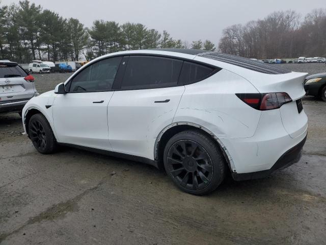  TESLA MODEL Y 2023 White