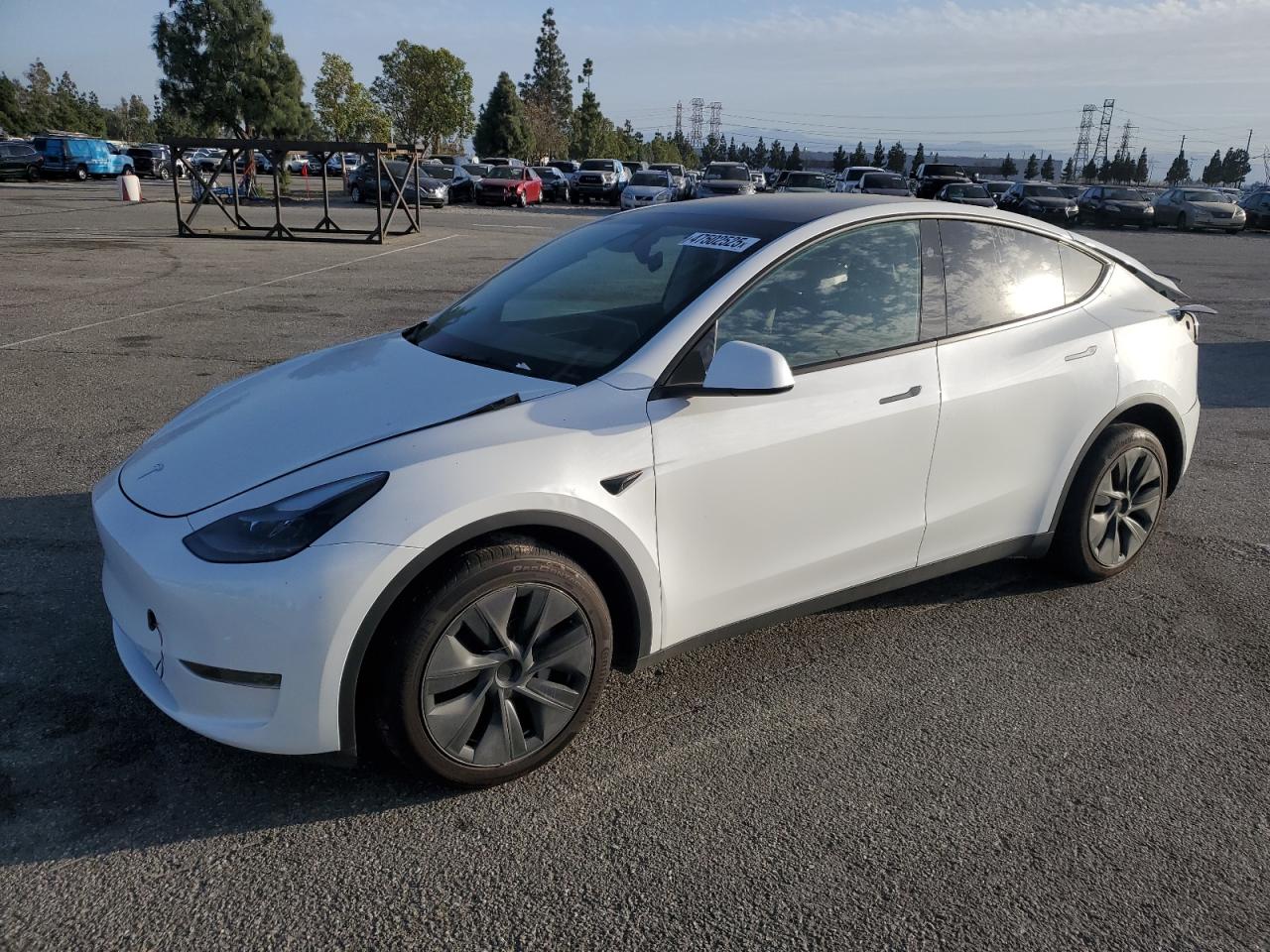 2024 Tesla Model Y zu verkaufen in Rancho Cucamonga, CA - Rear End