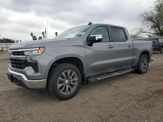CHEVROLET SILVERADO 2024