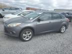 2014 FORD FOCUS SE à vendre chez Copart AL - BIRMINGHAM