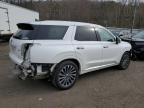 2023 Hyundai Palisade Calligraphy na sprzedaż w Hurricane, WV - All Over