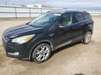 2015 Ford Escape Titanium за продажба в Bismarck, ND - Hail