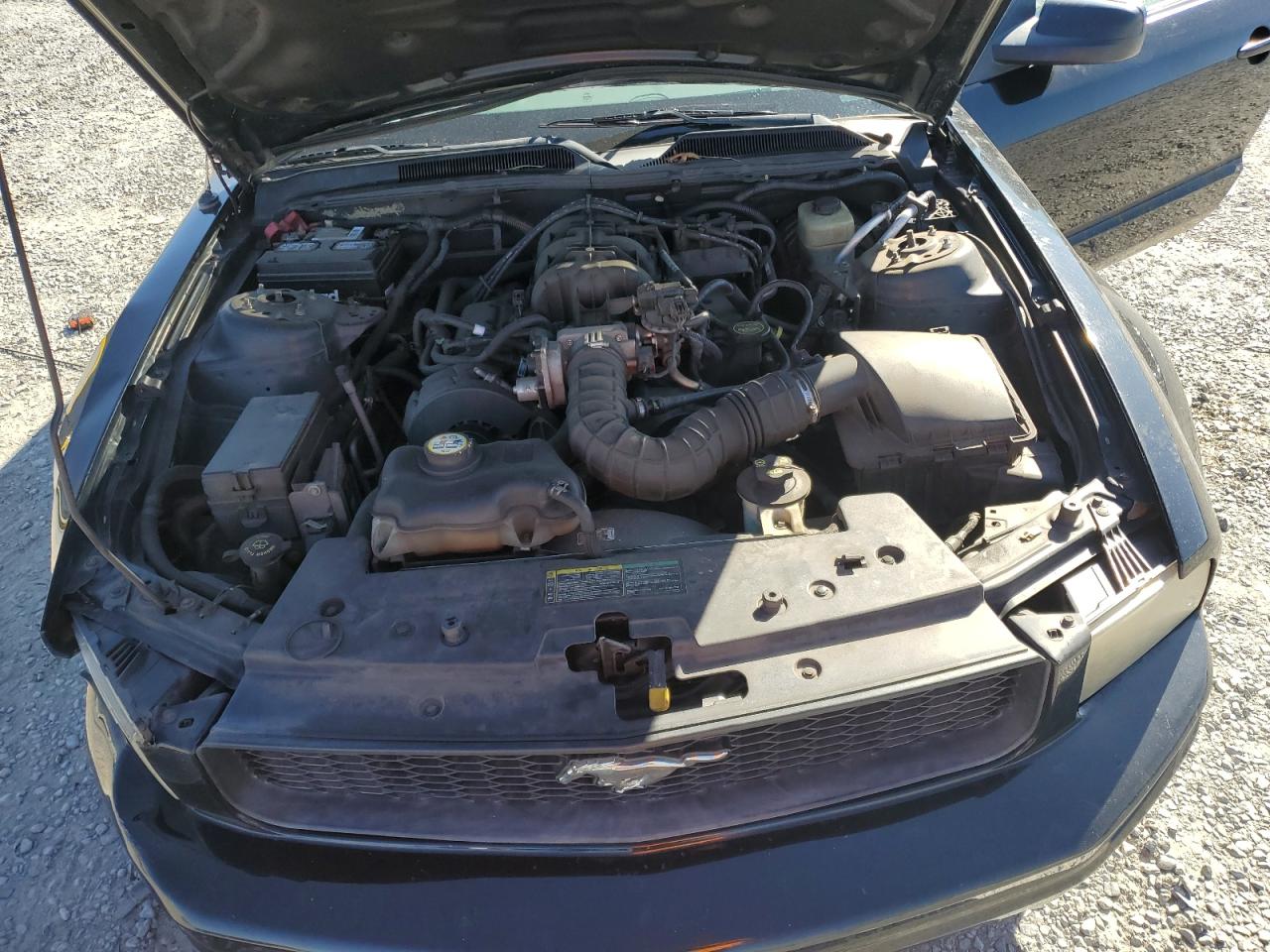 2005 Ford Mustang - Image 11