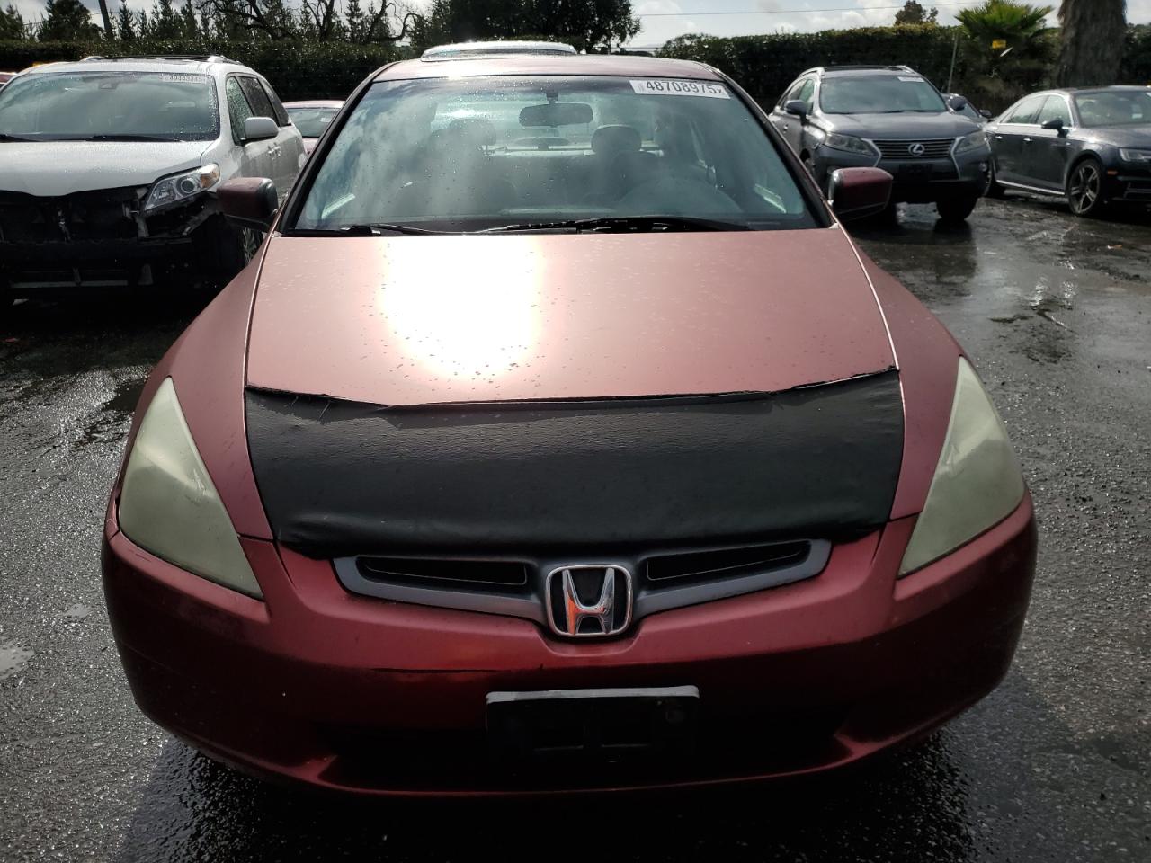 2005 Honda Accord - Image 5