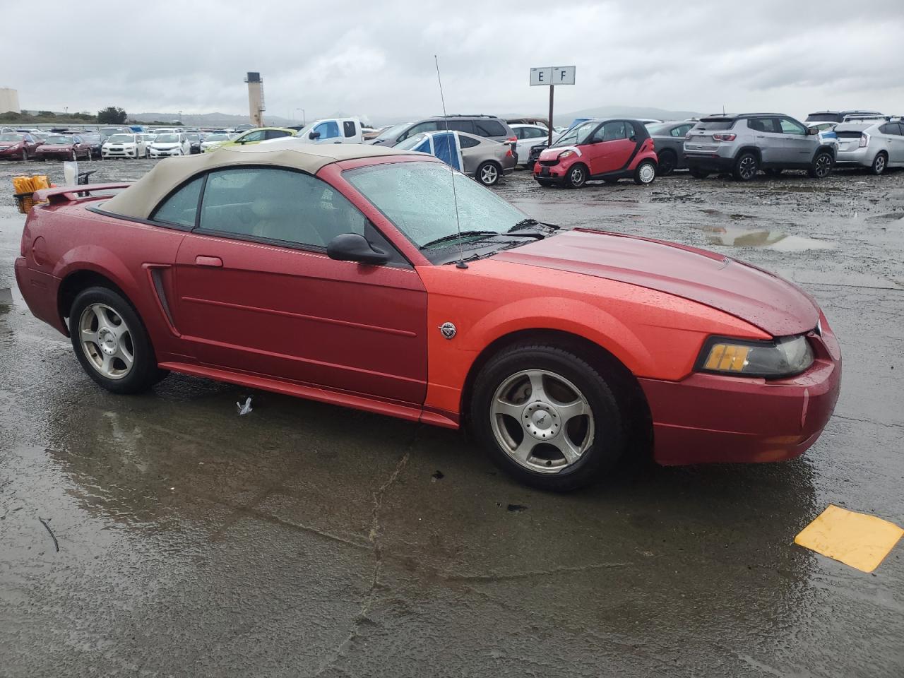 2004 Ford Mustang - Image 4