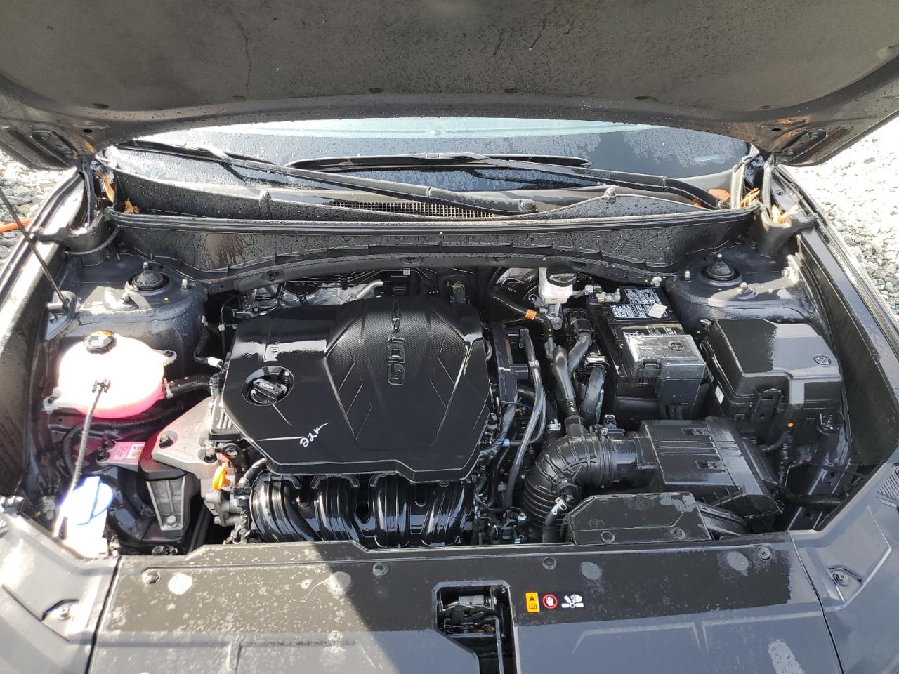 2024 Hyundai Tucson Sel VIN: 5NMJBCDE1RH329910 Lot: 51211775