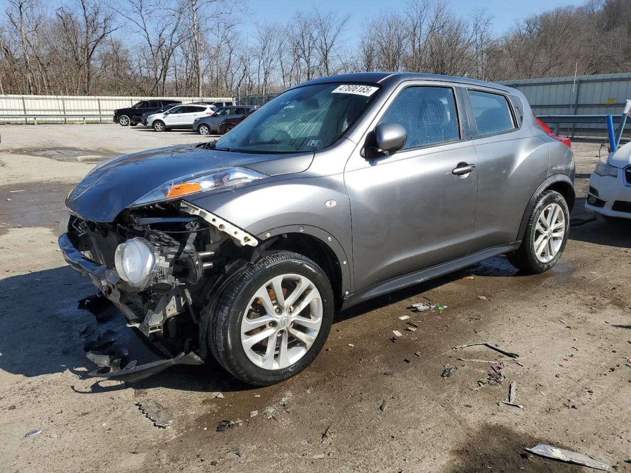 2013 Nissan Juke - Image 1