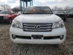 2013 Lexus Gx 460 Premium იყიდება Chicago Heights-ში, IL - Minor Dent/Scratches