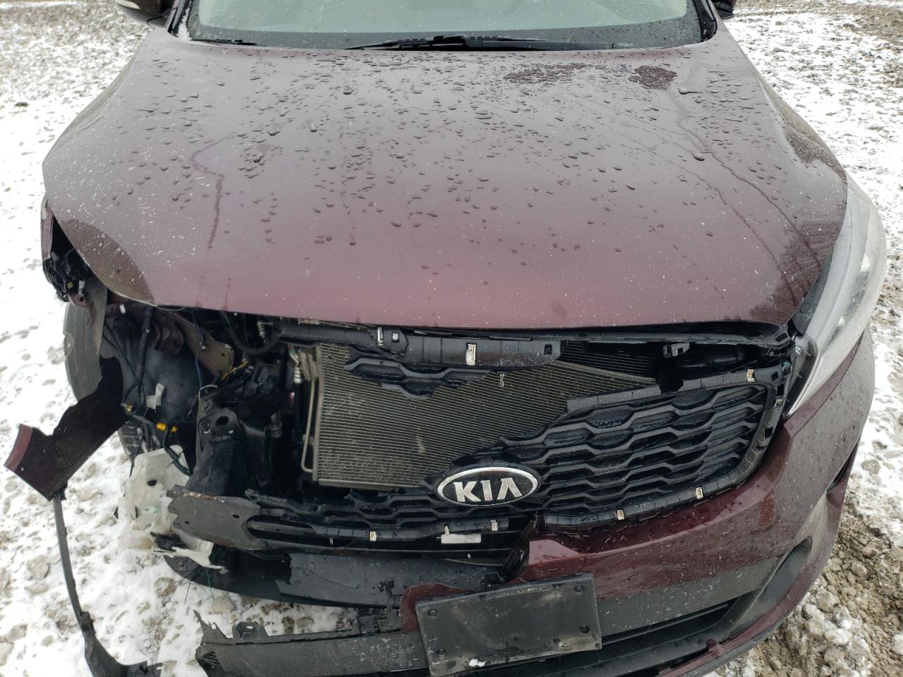 2019 Kia Sorento - Image 14