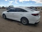 2018 Hyundai Sonata Se na sprzedaż w Albuquerque, NM - Biohazard/Chemical