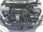Prairie Grove, AR에서 판매 중인 2013 Honda Accord Exl - Rear End