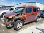 2003 Honda Element Ex იყიდება New Orleans-ში, LA - Front End