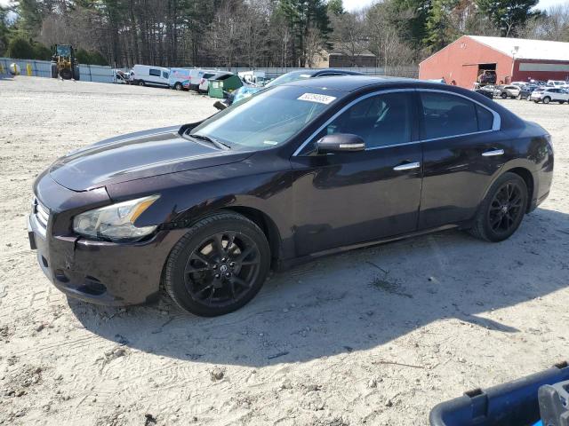 Sedans NISSAN MAXIMA 2014 Purple