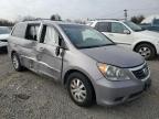 2009 Honda Odyssey Exl for Sale in Hillsborough, NJ - Side