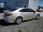2013 Lexus Es 300H للبيع في Reno، NV - Rear End