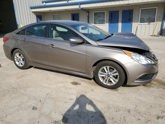  HYUNDAI SONATA 2014 Цвет загара