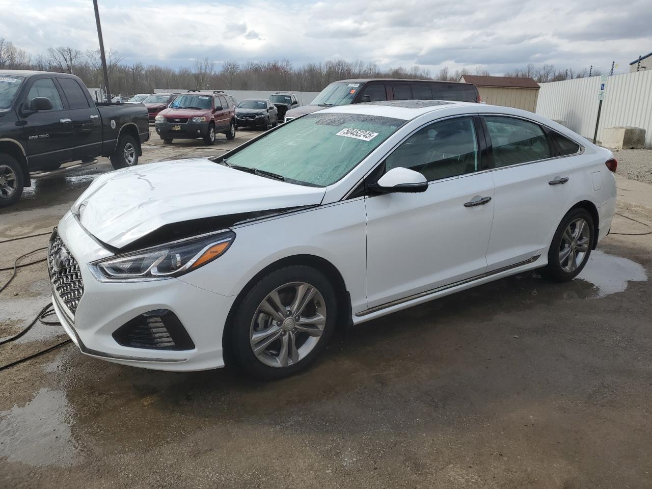2018 Hyundai Sonata Sport for Sale in Louisville, KY - Front End