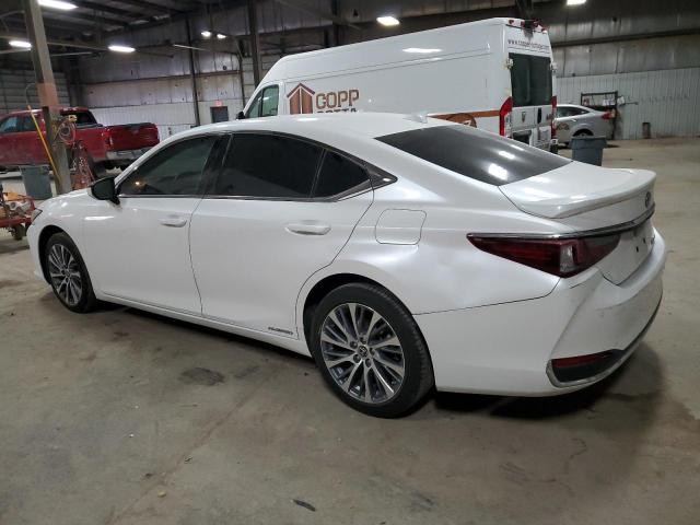  LEXUS ES300 2021 Biały
