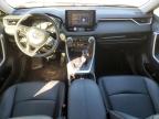 2019 Toyota Rav4 Xle Premium en Venta en Memphis, TN - Front End