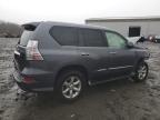 2017 Lexus Gx 460 zu verkaufen in Windsor, NJ - Front End