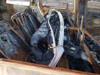 2024 Volvo Xc90 Plus   for Sale in Elgin, IL - Burn