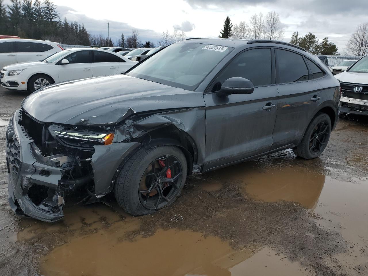 2024 Audi Sq5 Sportback Prestige for Sale in Bowmanville, ON - Front End