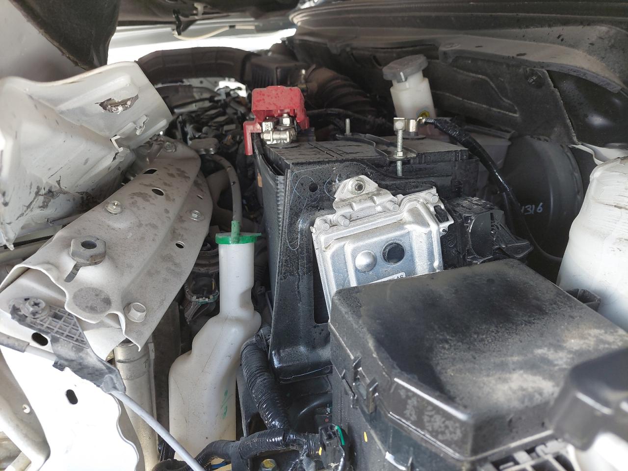 MA3VC7A17RA500335 - 2024 Suzuki CIAZ - #undefined