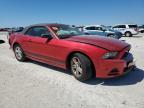 Arcadia, FL에서 판매 중인 2013 Ford Mustang    - Front End