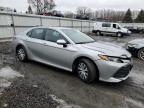 2020 Toyota Camry Le за продажба в Albany, NY - Rear End