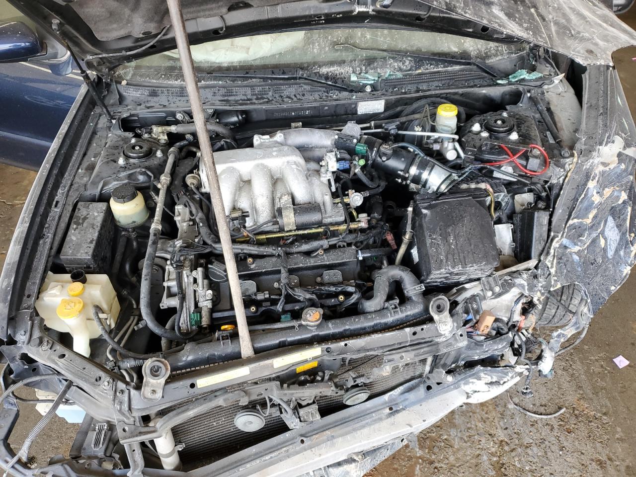 2003 Nissan Maxima - Image 11
