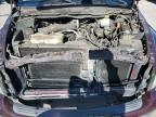 2004 Dodge Ram 1500 St for Sale in Littleton, CO - Rear End