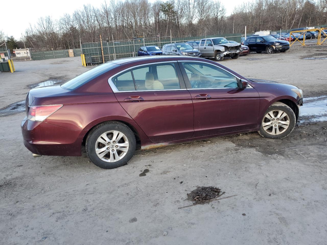 2010 Honda Accord - Image 3