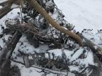 2019 Skidoo Skandic for Sale in Montreal-est, QC - Burn