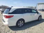 2019 Honda Odyssey Exl на продаже в Windsor, NJ - Front End