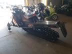 2019 Pola Pro R 800 en Venta en Albuquerque, NM - Minor Dent/Scratches