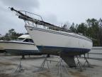 1997 Cata Sailboat for Sale in Harleyville, SC - Water/Flood
