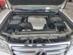 2013 Lexus Gx 460 Premium იყიდება Chicago Heights-ში, IL - Minor Dent/Scratches