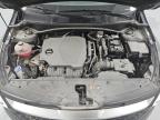 2024 Kia Sportage Ex for Sale in Wilmer, TX - Rear End