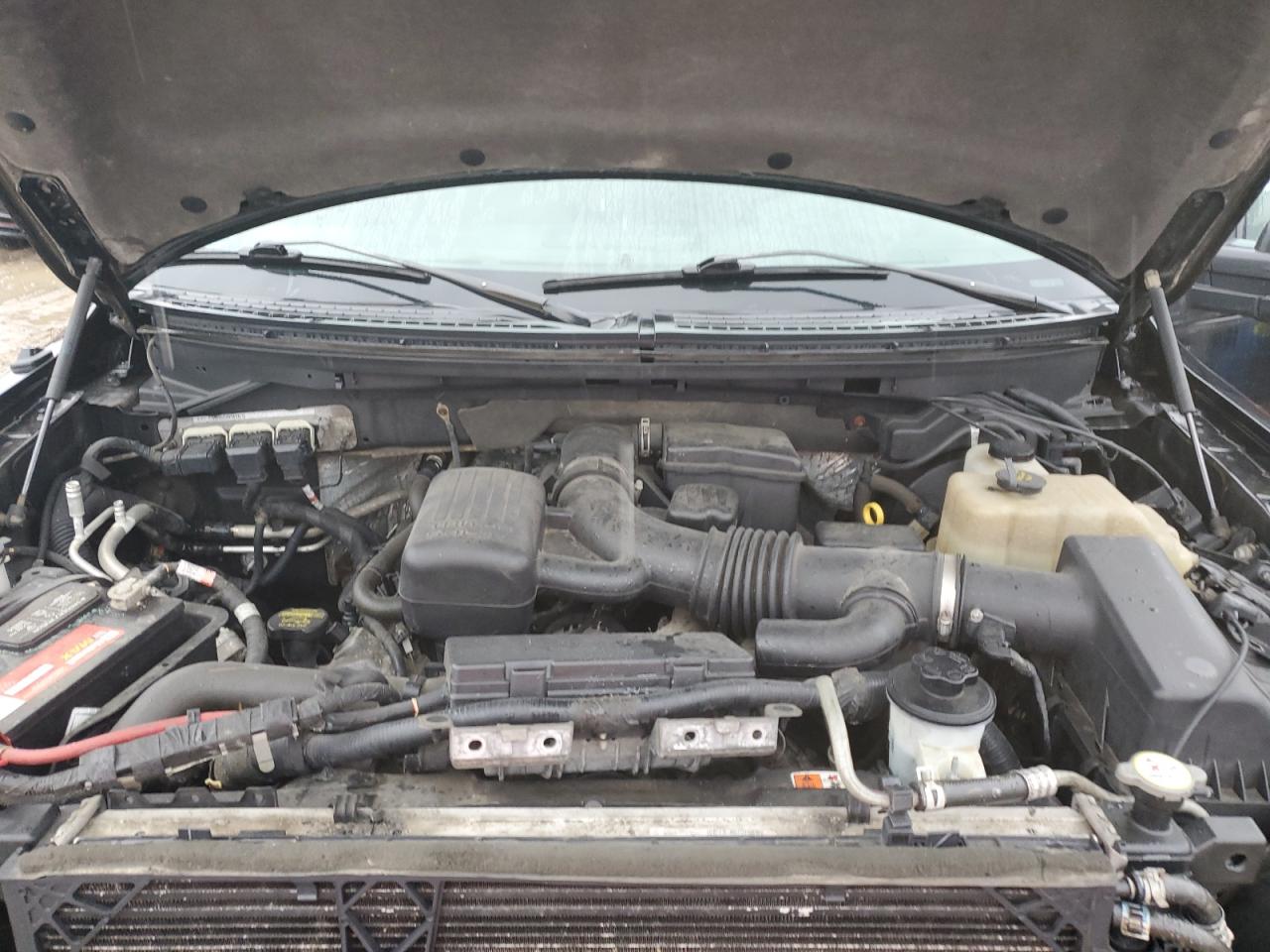 2010 Ford F-150 - Image 12