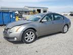 Earlington, KY에서 판매 중인 2006 Nissan Maxima Se - Front End