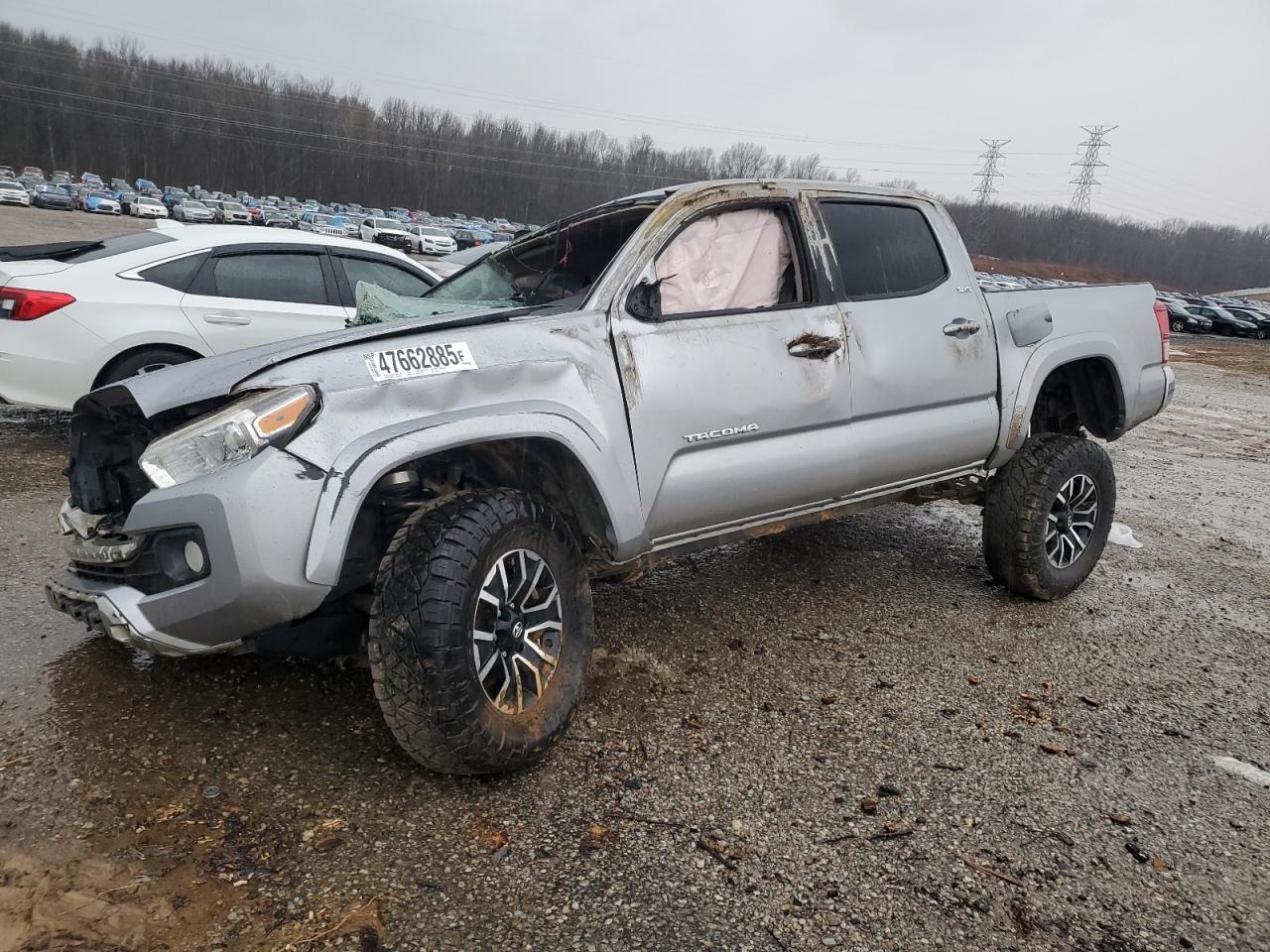 2019 Toyota Tacoma - Image 1
