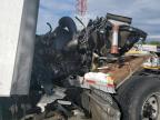 2021 Freightliner Cascadia 126 Semi Truck for Sale in Bakersfield, CA - All Over